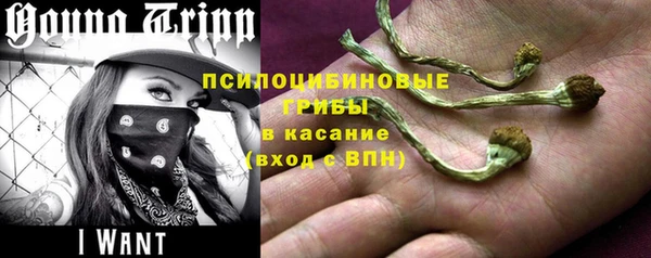 молекула духа Михайловск