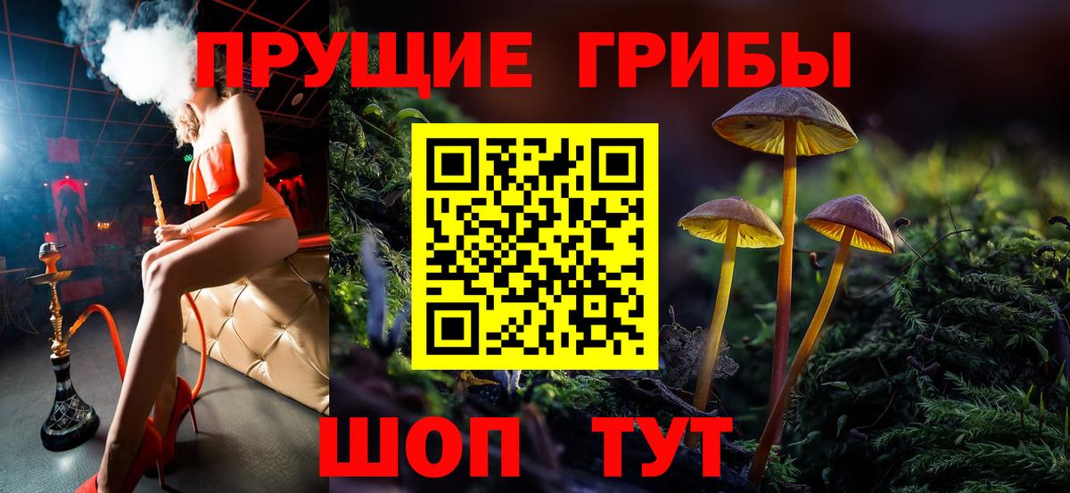 Волжский  Псилоцибиновые грибы Psilocybine cubensis  Вход с VPN 