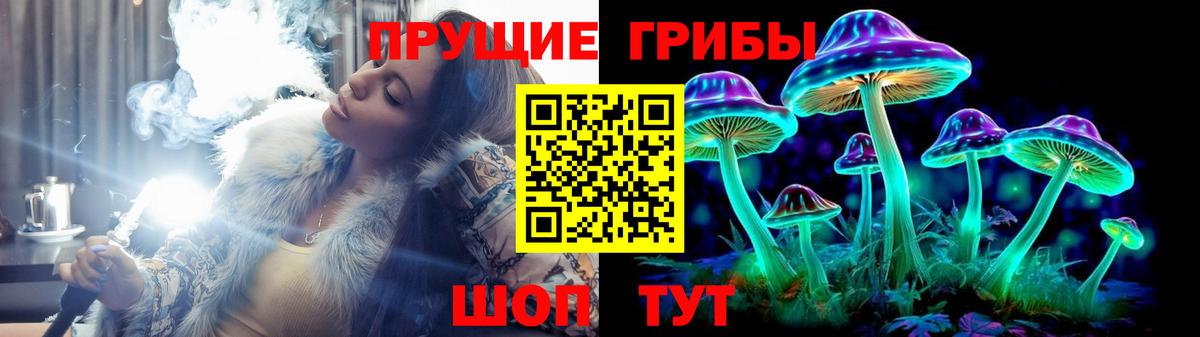 Псилоцибиновые грибы MAGIC MUSHROOMS Волжский
